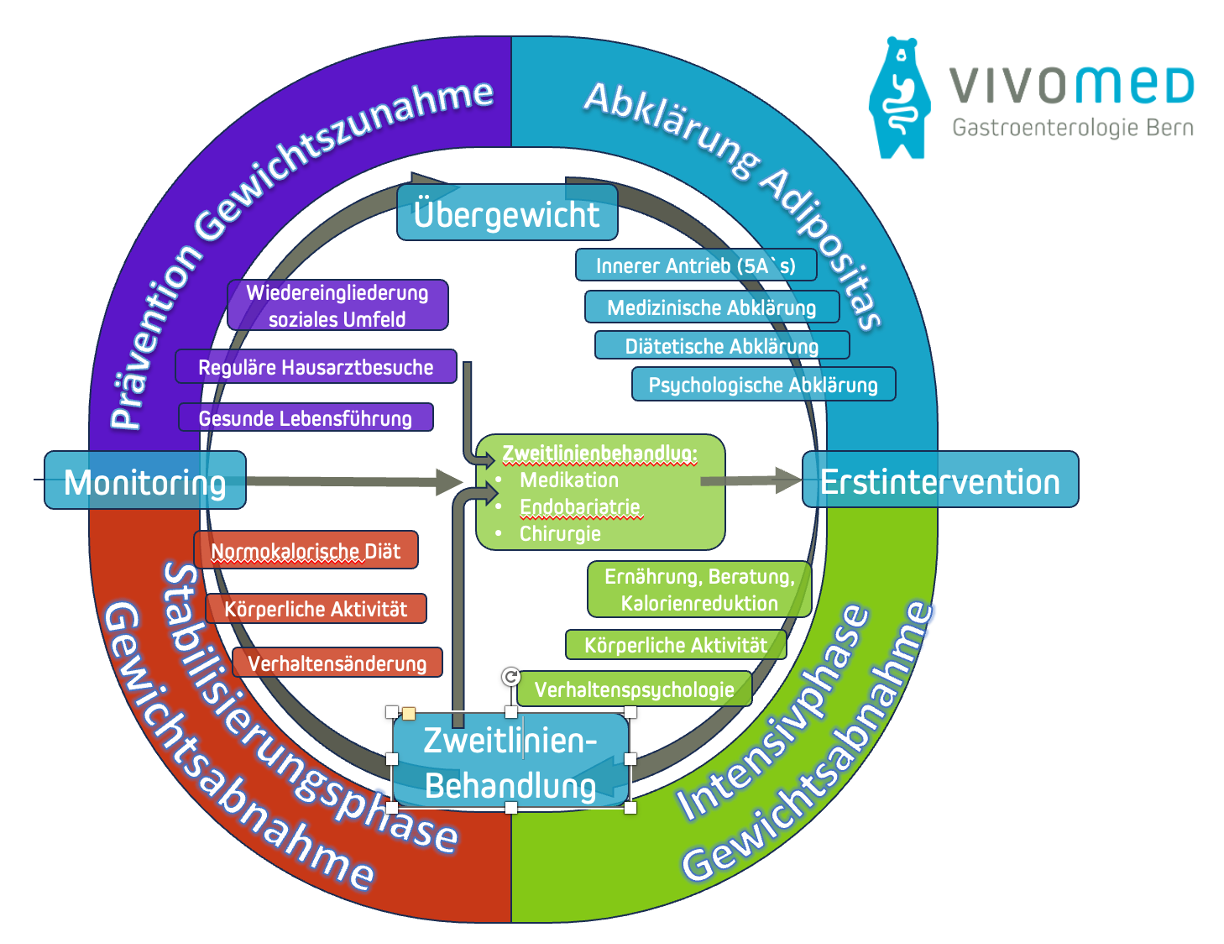 Adipositasbehandlung Vivomed Gastroenterologie Bern